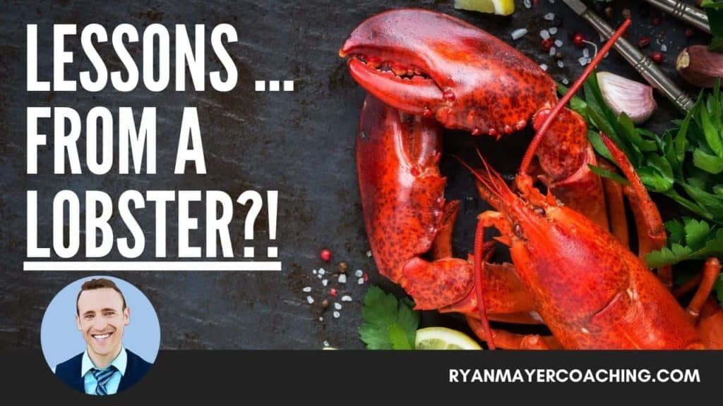 Lessons From a Lobster